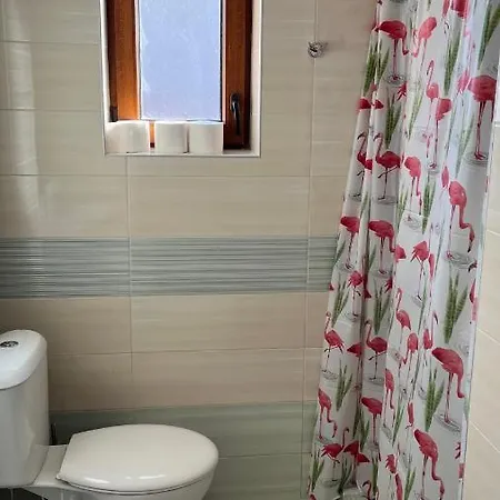 Zornica In *
