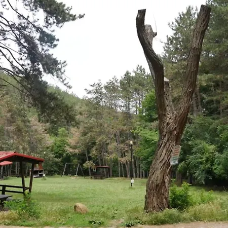 Zornica In