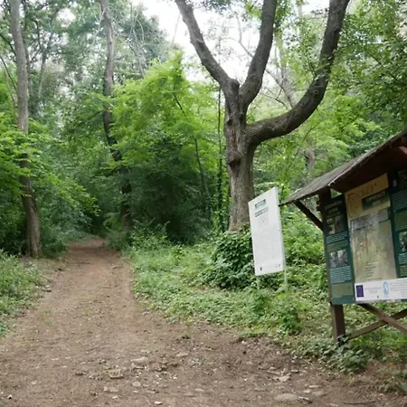Zornica In Guest house