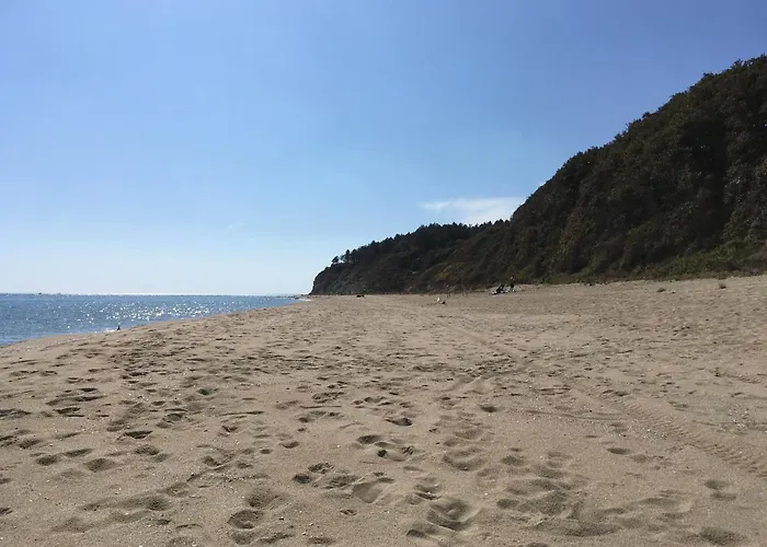 Zornica In Pensionat