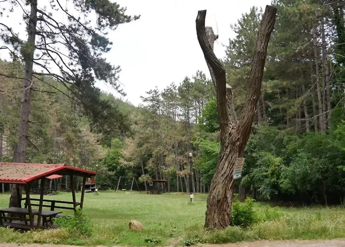 Zornica In